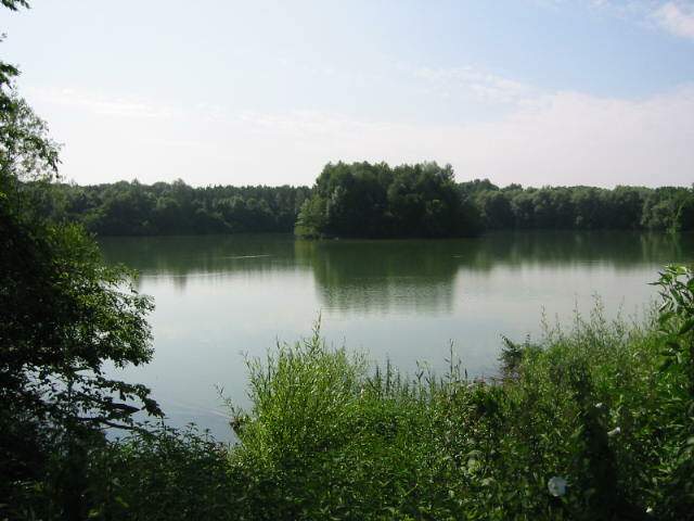 tannenteich